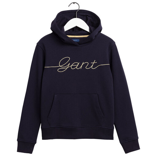 Hoodie Script