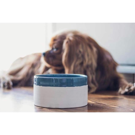 Hundmatskål Hazy Blue - Mateus X Denjo