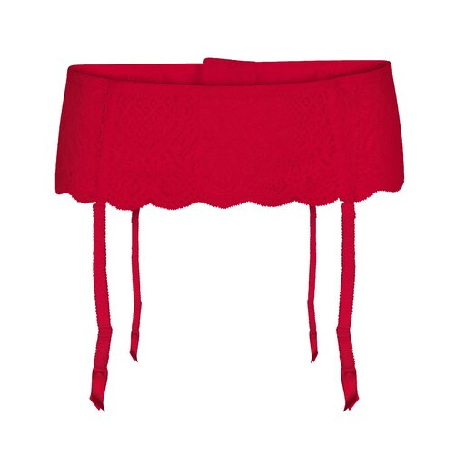 Daily Suspender Belt