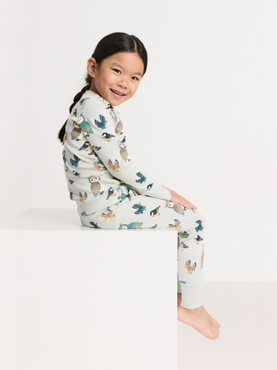 Pyjamasset med fåglar och ugglor