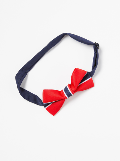 Fluga med Norge-flagga
