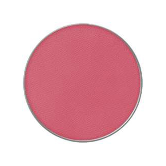 MAC Cosmetics Powder Kiss Eye Shadow Pro Palette 19 Fall In Love