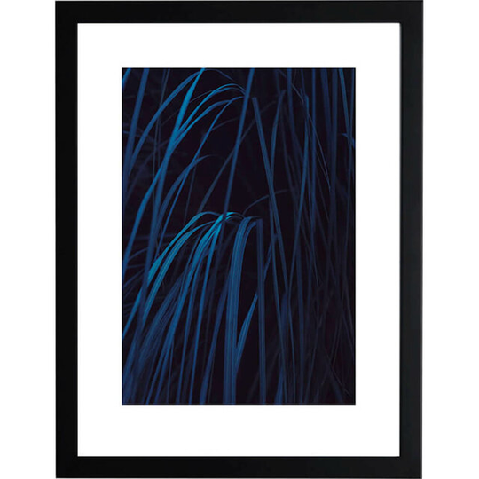 Shades Of Blue #3