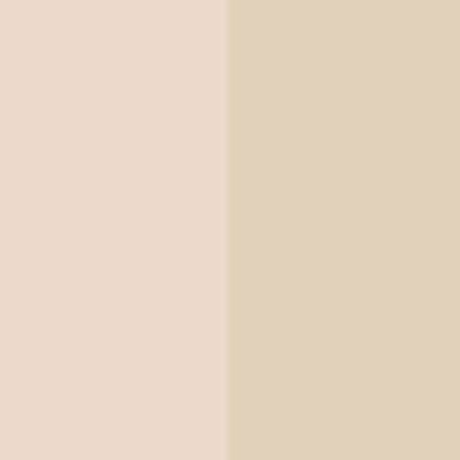 Nude Expert Stick foundation
