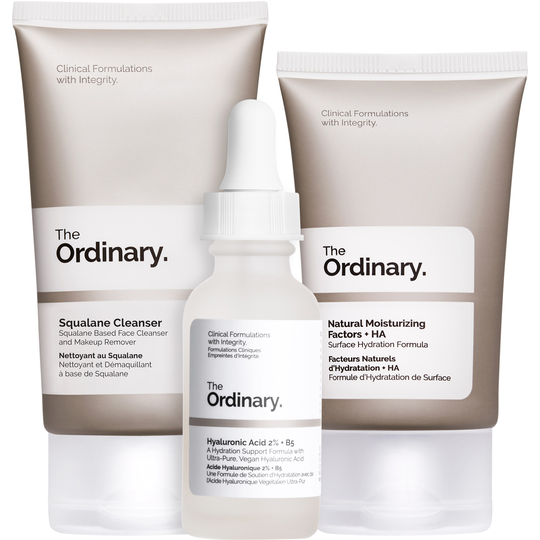 The Ordinary The Daily Set