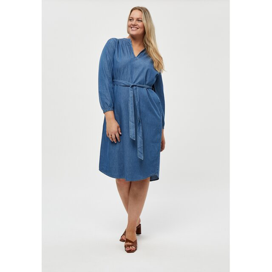 Cia Dress Curve