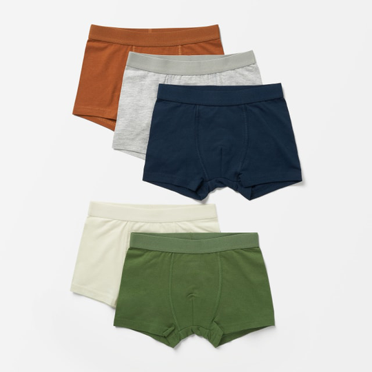 5-pack kalsonger i ekologisk bomull TEDDY