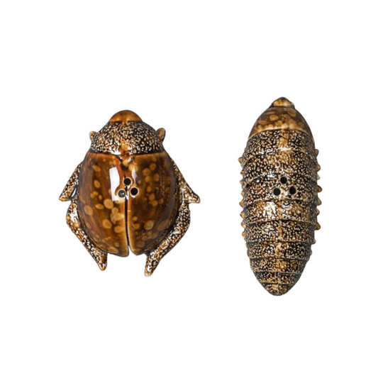 Salt & pepper Bug