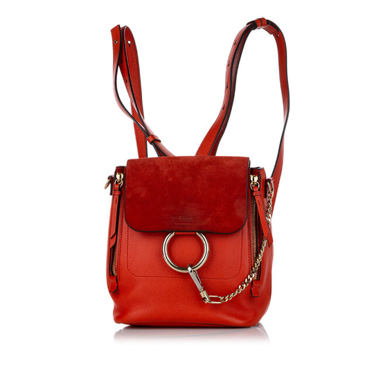 Chloe Mini Faye Leather Backpack