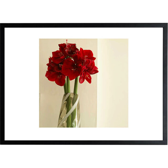 Red Flower