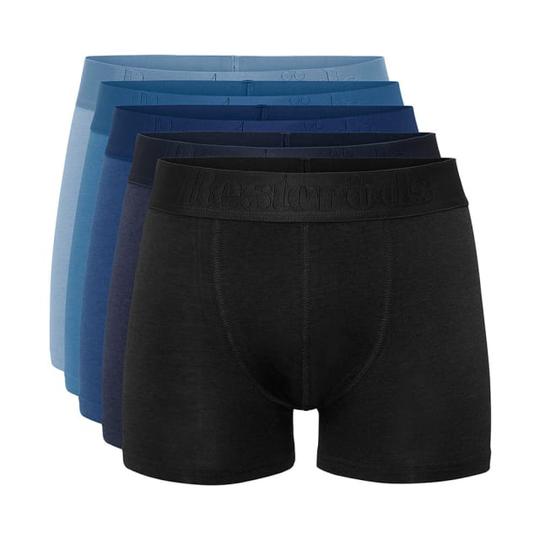 Boxer Bamboo 5-pack - Regular Leg