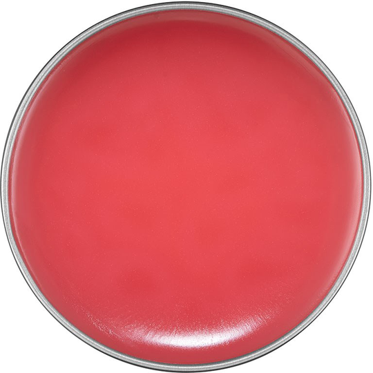 NYX PROFESSIONAL MAKEUP Thisiseverything Lip Balm
