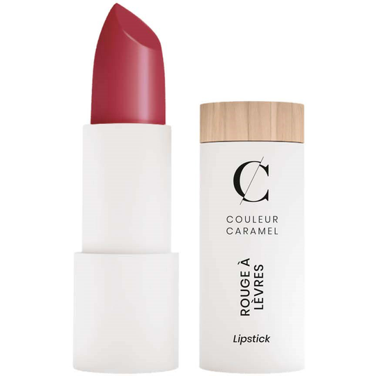 Couleur Caramel Matte Lipstick n°121 Brick-pink