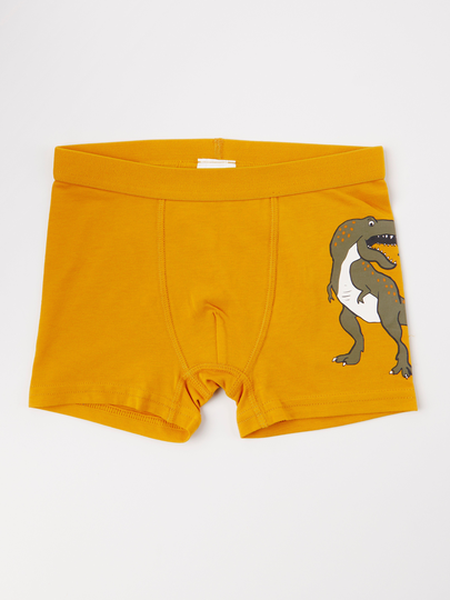 Boxershorts med dinosaurie