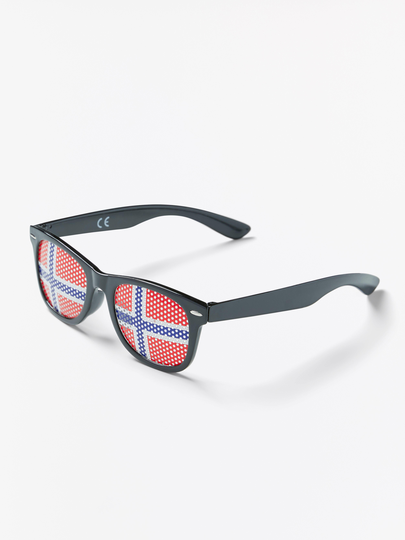 Leksaksglasögon med Norge-flagga